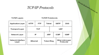 TCP/IP Protocols
 