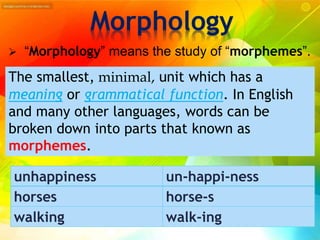 MORPHOLOGY | PPTX