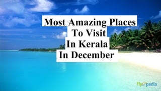 Most Amazing Places
To Visit
In Kerala
In December
 