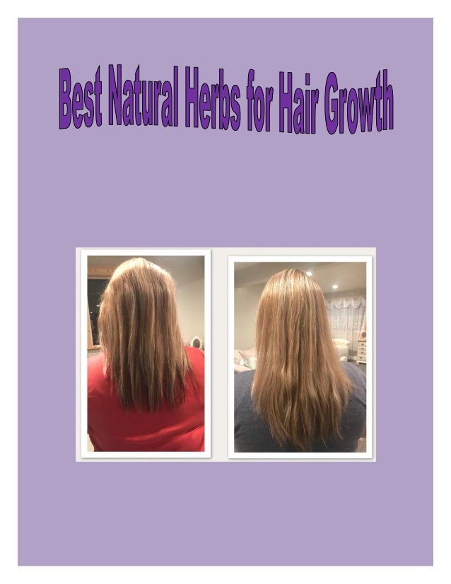 Most Beneficial Natural Herbs For Hair Growth
