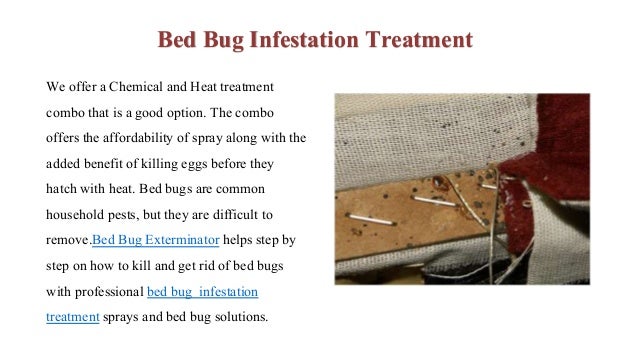 The Most common causes of bed bugs