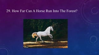 29. How Far Can A Horse Run Into The Forest?
 