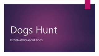 Dogs Hunt
INFORMATION ABOUT DOGS
 