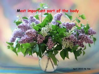 Most important part of the body ‏ April 2010 He Yan 