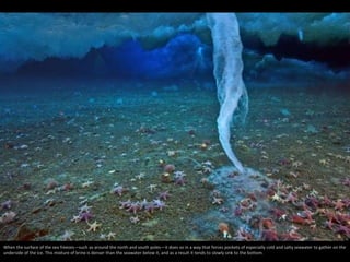 Something In Nature Most Incredible Natural Phenomena Around the World | PPSX