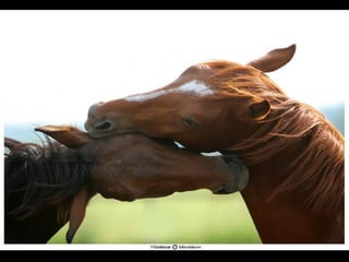 Most incrediblepixever