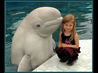 Most incrediblepixever