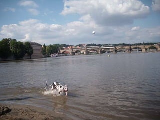 Most Karola W Pradze