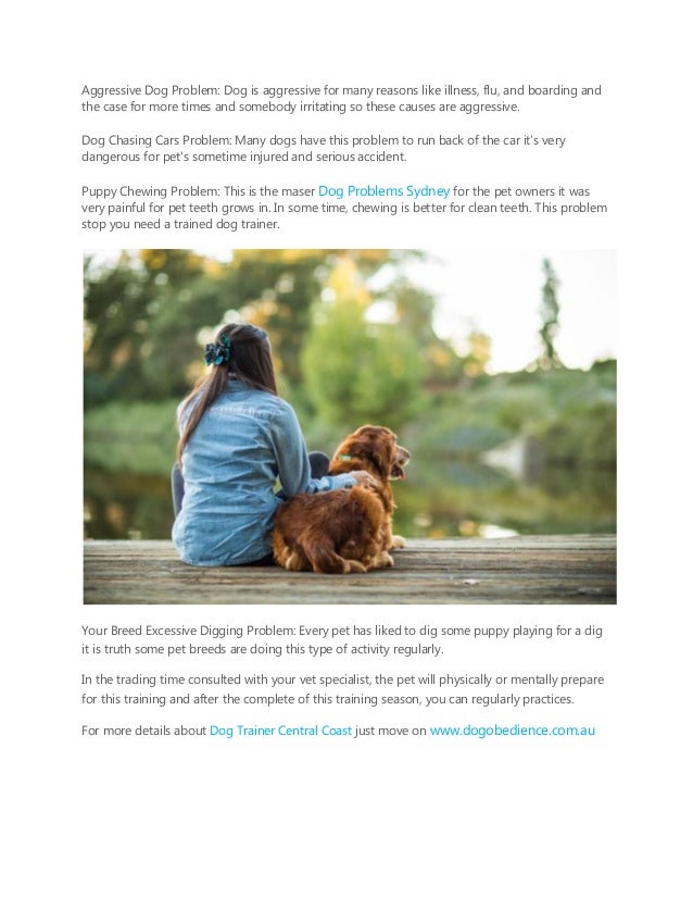 dog trainers central coast