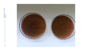 1 2
PRESENTATION
TITLE
 