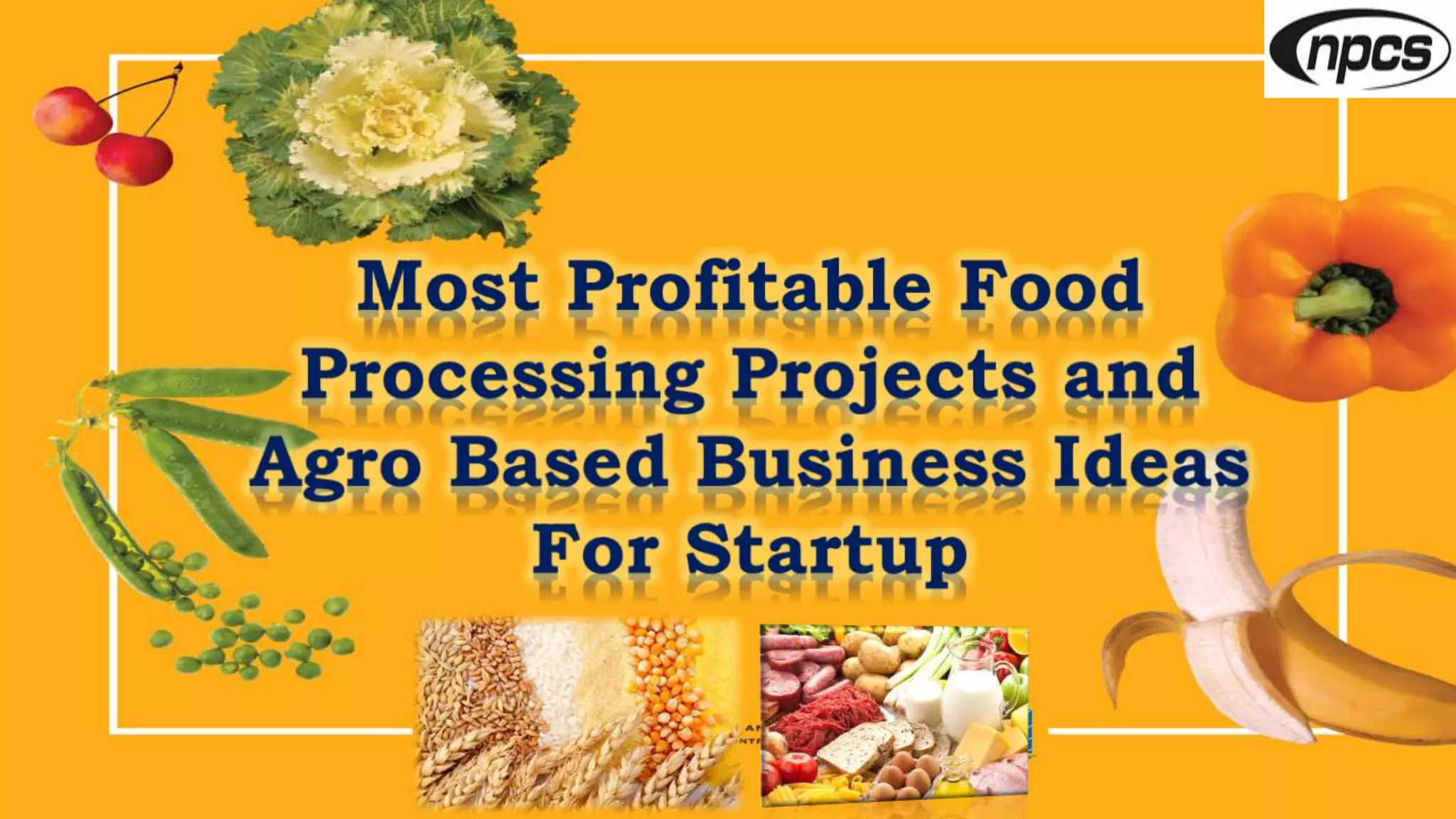 Most Profitable Food Processing Projects and Agro Based Business Ideas for Startup PPT