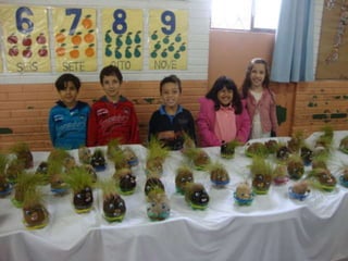 I Mostra Cultural e Educativa da EC 29