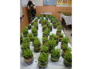 I Mostra Cultural e Educativa da EC 29