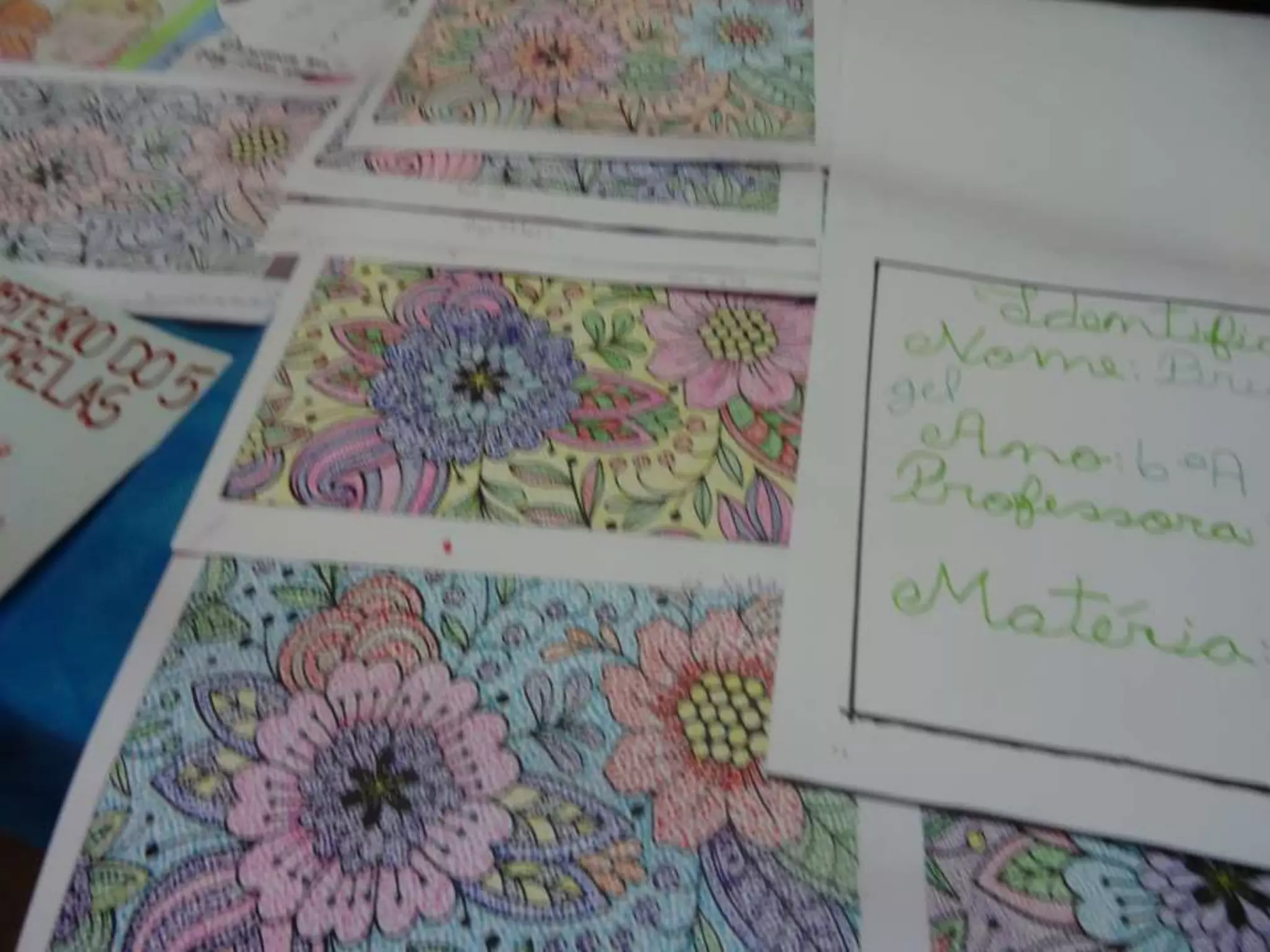 MostraPedagógica!!!