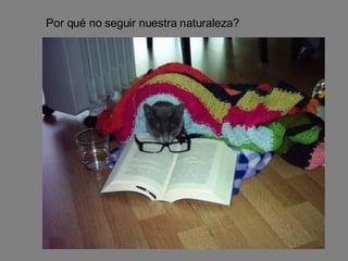 Por qué no seguir nuestra naturaleza? 