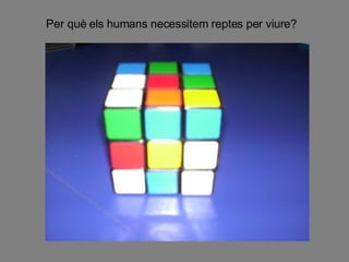 Per què els humans necessitem reptes per viure? 