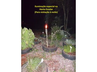 Iluminação especial na 
Horta Escolar 
(Para visitação à noite) 
 