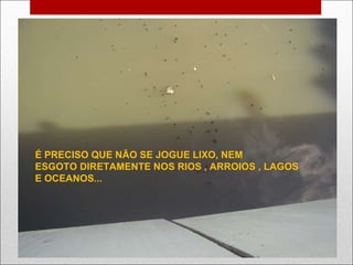 É PRECISO QUE NÃO SE JOGUE LIXO, NEM ESGOTO DIRETAMENTE NOS RIOS , ARROIOS , LAGOS  E OCEANOS... 