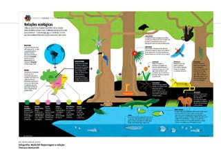 GE Biologia 2013
Infográfia: Multi/SP Reportagem e edição:
Thereza Venturolli
6ª Mostra Nacional
de Infografia | 2012
REVISTAS
GUIA DO ESTUDANTE
 