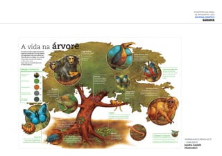 Jornadas Ciências 7
– jun/2012
Sandro Castelli
(Ilustrador)
6ª Mostra Nacional
de Infografia | 2012
Material didático
Saraiva
 