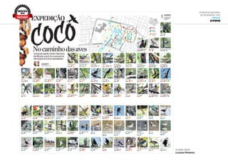 6ª Mostra Nacional
de Infografia | 2012
JORNAIS
O POVO
6.ago.2012
Luciana Pimenta
MOSTRA
2012
DESTAQUE
 