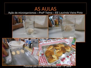 AS AULAS
Ação de microrganismos – Profª Telma – EE Laurinda Vieira Pinto
Ação de microrganismos – Profª Telma – EE Laurinda Vieira Pinto




             Fazendo pão com fermento biológico – 6ª série
 