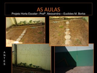 AS AULAS
    Projeto Horta Escolar– Profª Alessandra – Euclides M. Borba
    Projeto Horta Escolar– Profª Alessandra – Euclides M. Borba




A
N
T
E
S
 