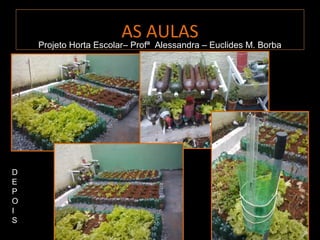 AS AULAS
    Projeto Horta Escolar– Profª Alessandra – Euclides M. Borba
    Projeto Horta Escolar– Profª Alessandra – Euclides M. Borba




D
E
P
O
I
S
 