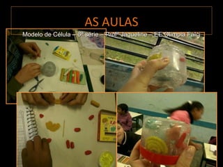 AS AULAS
Modelo de Célula – 6ª série – Profª Jaqueline – EE Olímpia Falci
 