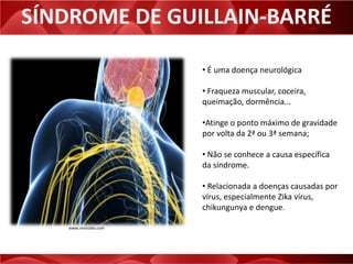 SÍNDROME DE GUILLAIN-BARRÉ
• É uma doença neurológica
• Fraqueza muscular, coceira,
queimação, dormência...
•Atinge o ponto máximo de gravidade
por volta da 2ª ou 3ª semana;
• Não se conhece a causa específica
da síndrome.
• Relacionada a doenças causadas por
vírus, especialmente Zika vírus,
chikungunya e dengue.
www.revistabs.com
 