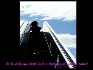 És la vida un destí únic o decidim el nostre camí?
 
