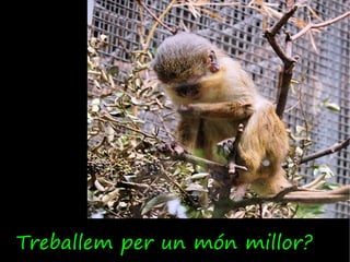 Treballem per un món millor?
 