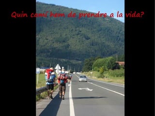Quin camí hem de prendre a la vida?
 