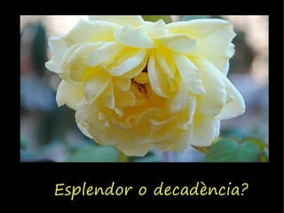 Esplendor o decadència?
 