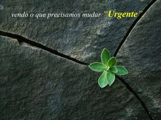 vendo o que precisamos mudar  “ Urgente ” ,   