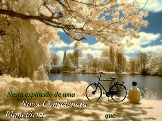 Nesta expansão de uma   Nova Consciência Planetária   que estamos vivenciando,   