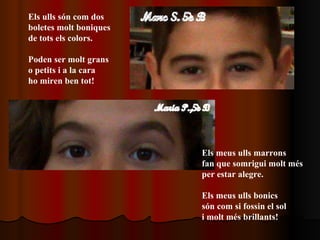 Els ulls són com dos  boletes molt boniques de tots els colors. Poden ser molt grans o petits i a la cara ho miren ben tot! Els meus ulls marrons fan que somrigui molt més per estar alegre. Els meus ulls bonics són com si fossin el sol  i molt més brillants! 