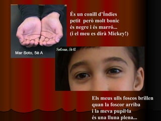 És un conill d’Índies  petit  però molt bonic és negre i és marró...  (i el meu es dirà Mickey!)   Els meus ulls foscos brillen  quan la foscor arriba i la meva pupil ·la  és una lluna plena...   