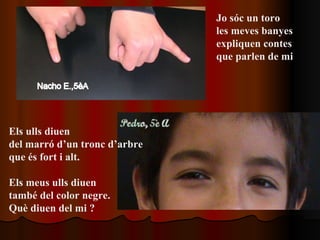 Jo sóc un toro  les meves banyes expliquen contes que parlen de mi   Els ulls diuen  del marró d’un tronc d’arbre  que és fort i alt. Els meus ulls diuen  també del color negre.  Què diuen del mi ? 
