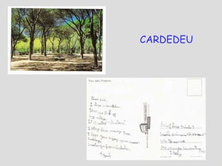 CARDEDEU

 