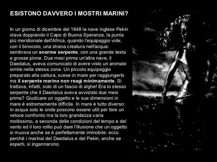 Mostri Marini Tra Mito E Realta