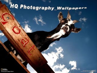 HQ Photography_Wallpapers 