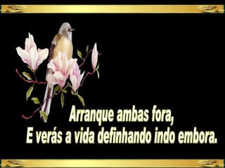 MãOs, Um Par De Asas.