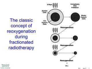The classic
concept of
reoxygenation
during
fractionated
radiotherapy

MCJ

Aug 12

7

 