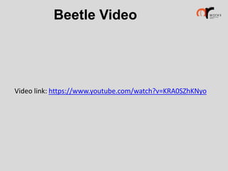 Beetle Video

Video link: https://www.youtube.com/watch?v=KRA0SZhKNyo

 