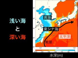 黄海
浅い海
 と    東シナ海

深い海          太平洋
      黒潮


       水深(m)
 