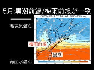 5月:黒潮前線/梅雨前線が一致

 地表気温℃



     梅雨前線

            黒潮
 海面水温℃
 