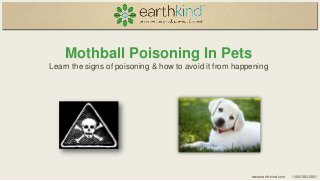 Mothball Poisoning In Pets
Learn the signs of poisoning & how to avoid it from happening

www.earth-kind.com

1.800.583.2921

 