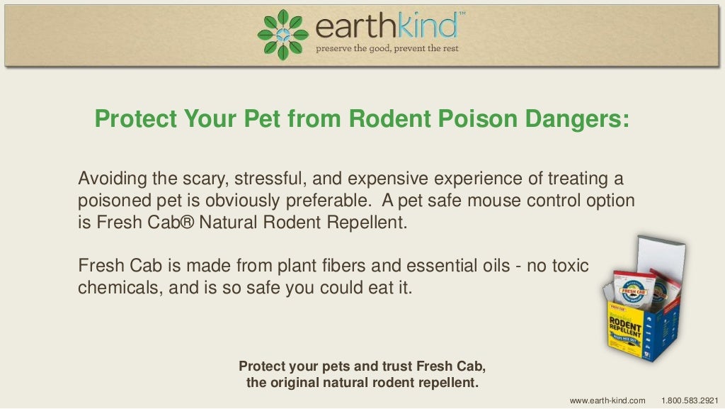 Mothball Poisoning in Pets Learn the Signs