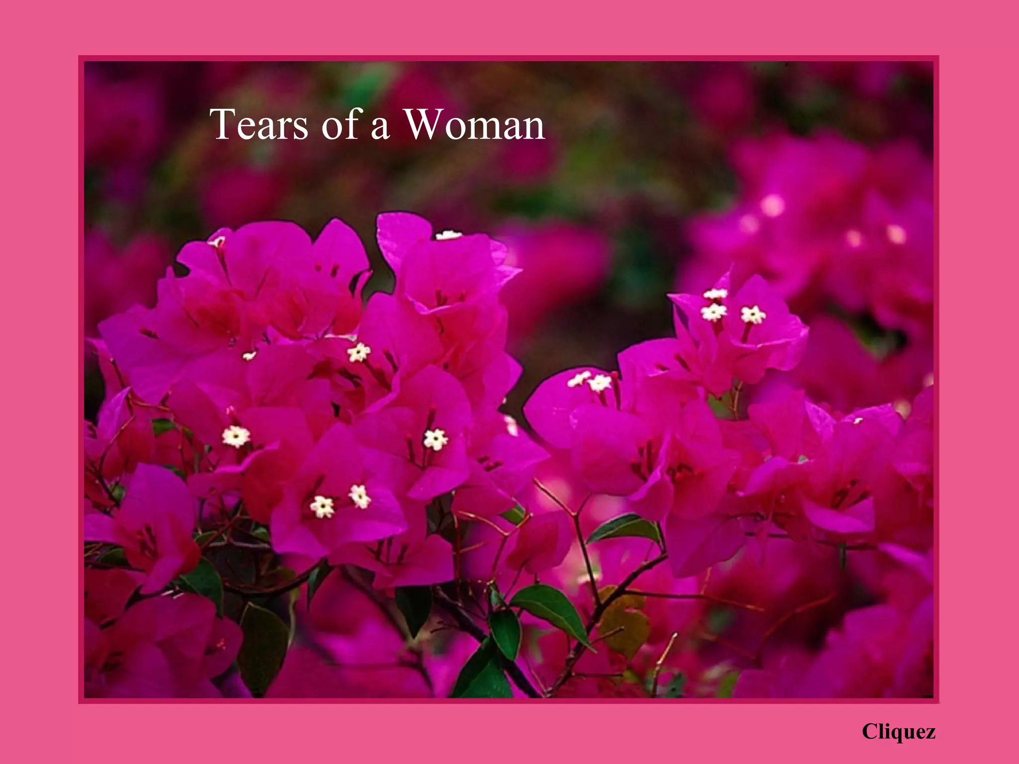 Understanding Your Mother'S Tears - h9l1qgq